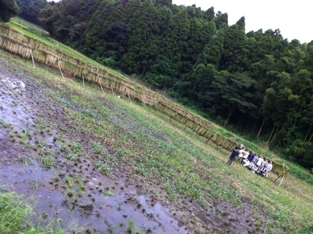 たまにはTSUKIでも眺めましょ