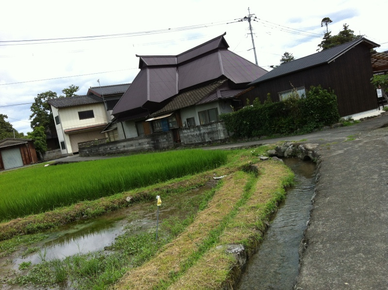 たまにはTSUKIでも眺めましょ