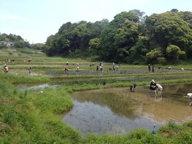 たまにはTSUKIでも眺めましょ