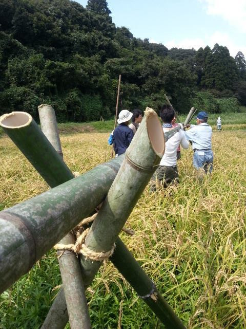 たまにはTSUKIでも眺めましょ