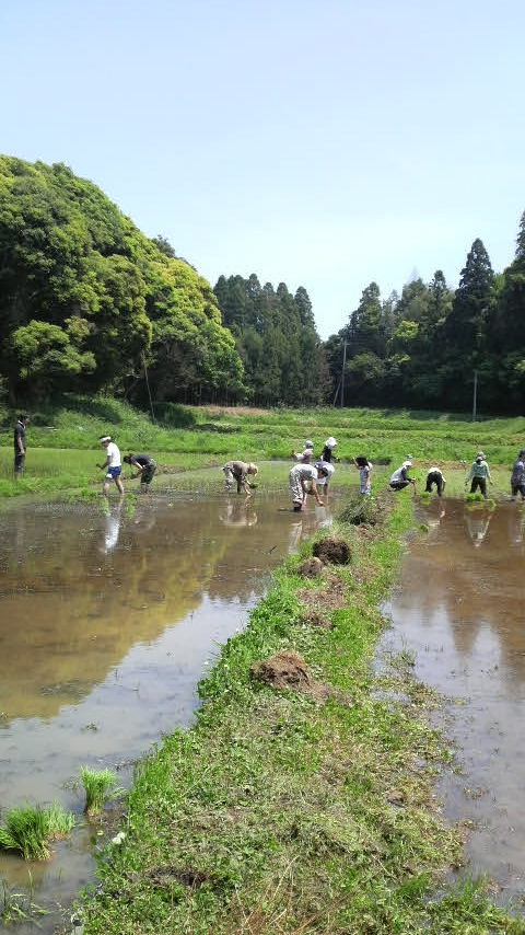 たまにはTSUKIでも眺めましょ